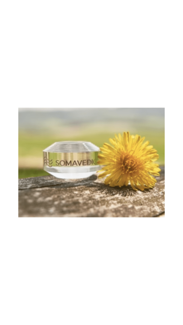Somavedic Tiny, Pocket EMF Effects Mitigation Device - Image 3